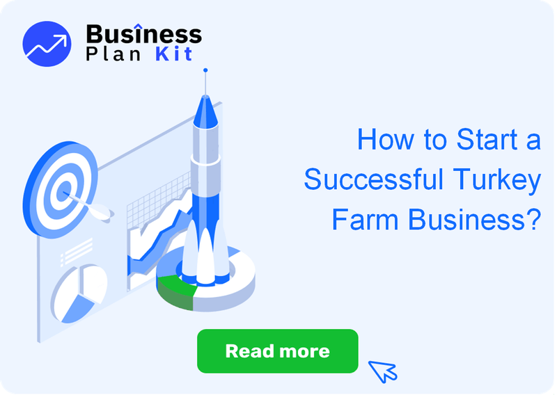 How to Start a Successful Turkey Farm Business?