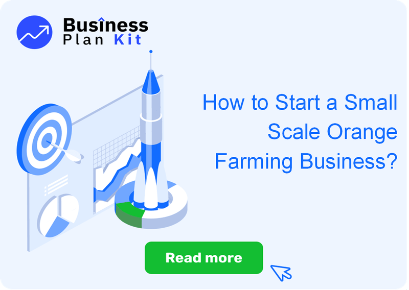 How to Start a Small Scale Orange Farming Business Successfully?