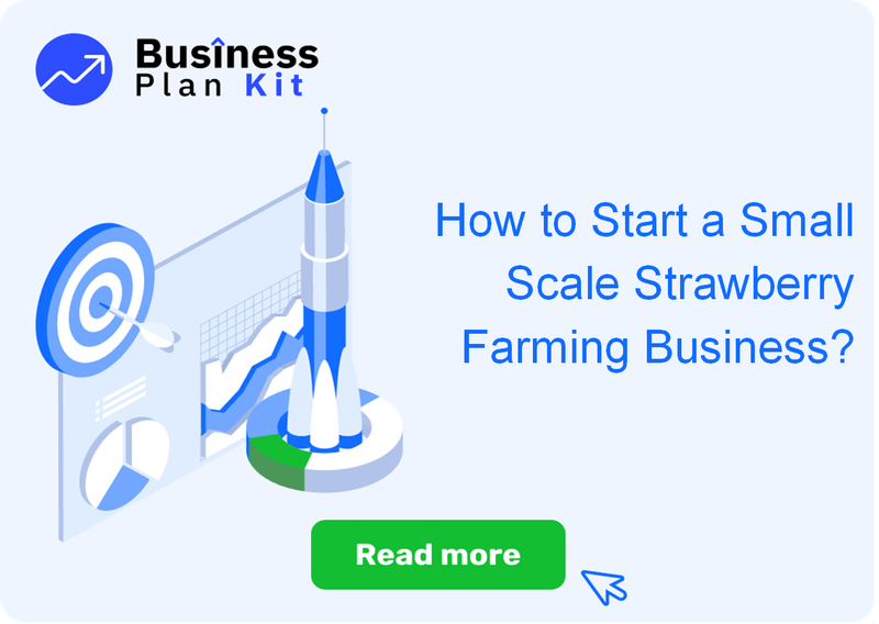 How to Start a Small Scale Strawberry Farming Business Successfully?