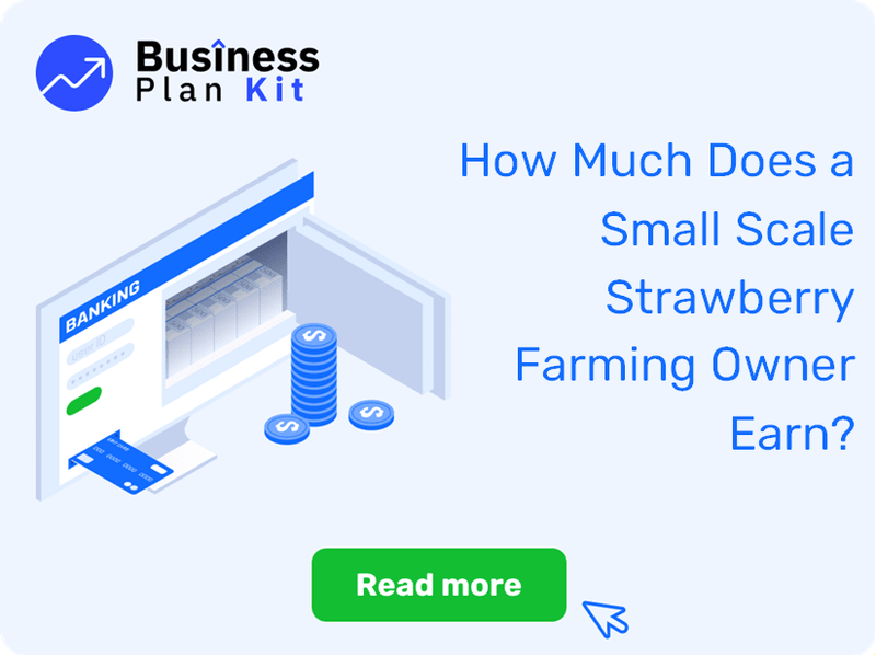How Much Does a Small Scale Strawberry Farming Owner Earn?