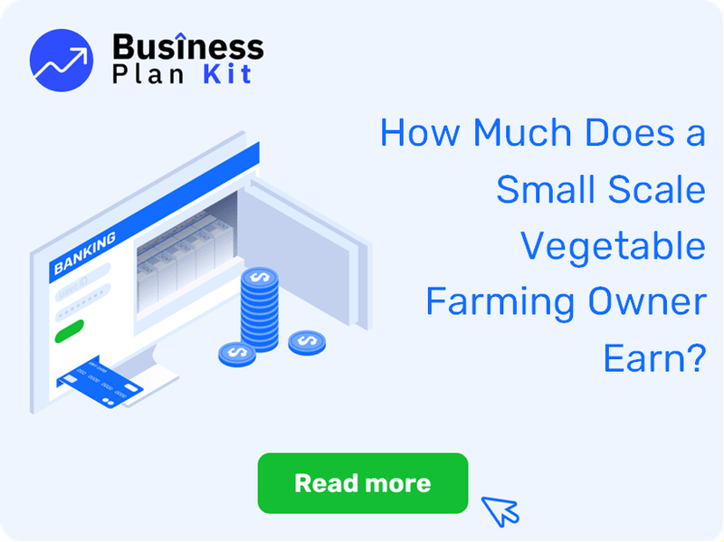 How Much Does a Small Scale Vegetable Farming Owner Earn?