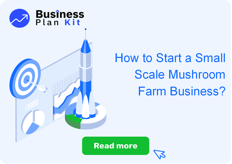 How to Start a Small Scale Mushroom Farm Business Successfully?