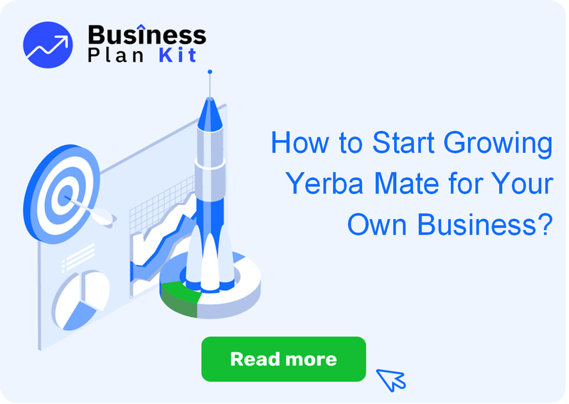 How to Start Growing Yerba Mate for Your Own Business?