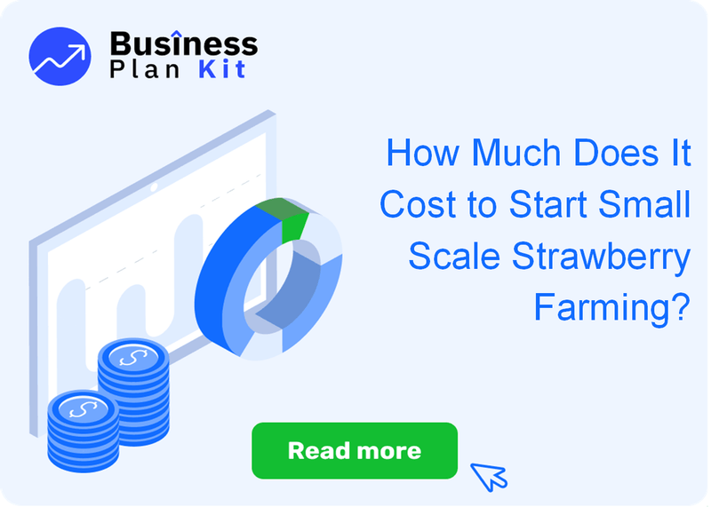 How Much Does It Cost to Start Small Scale Strawberry Farming?