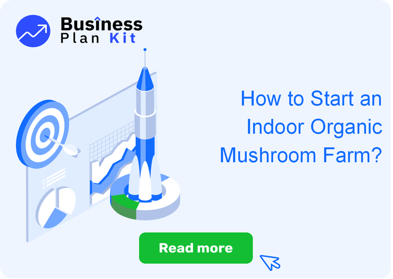 How to Start an Indoor Organic Mushroom Farm Successfully?