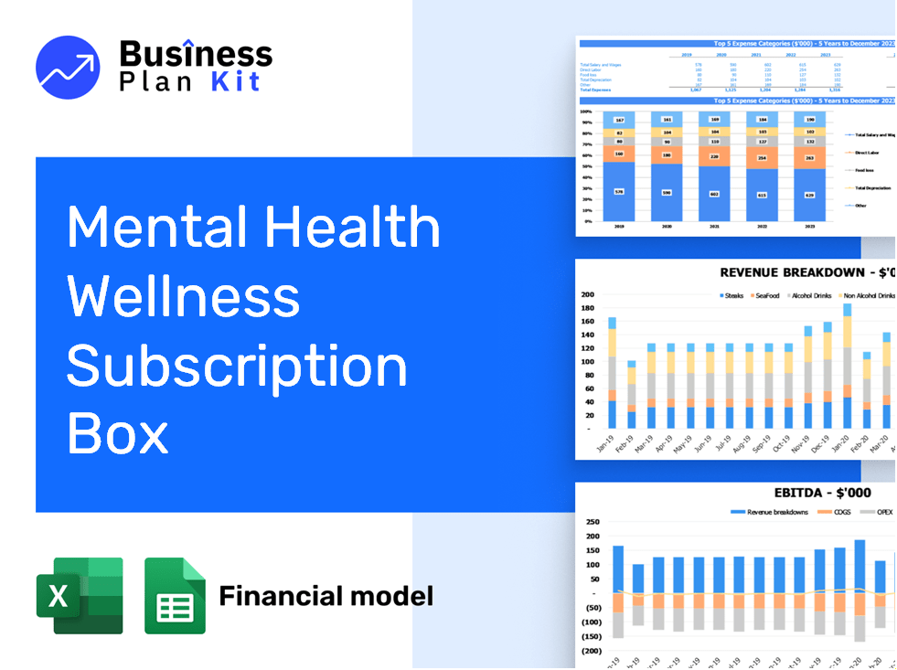 Mental Health Wellness Subscription Box Financial Model Example