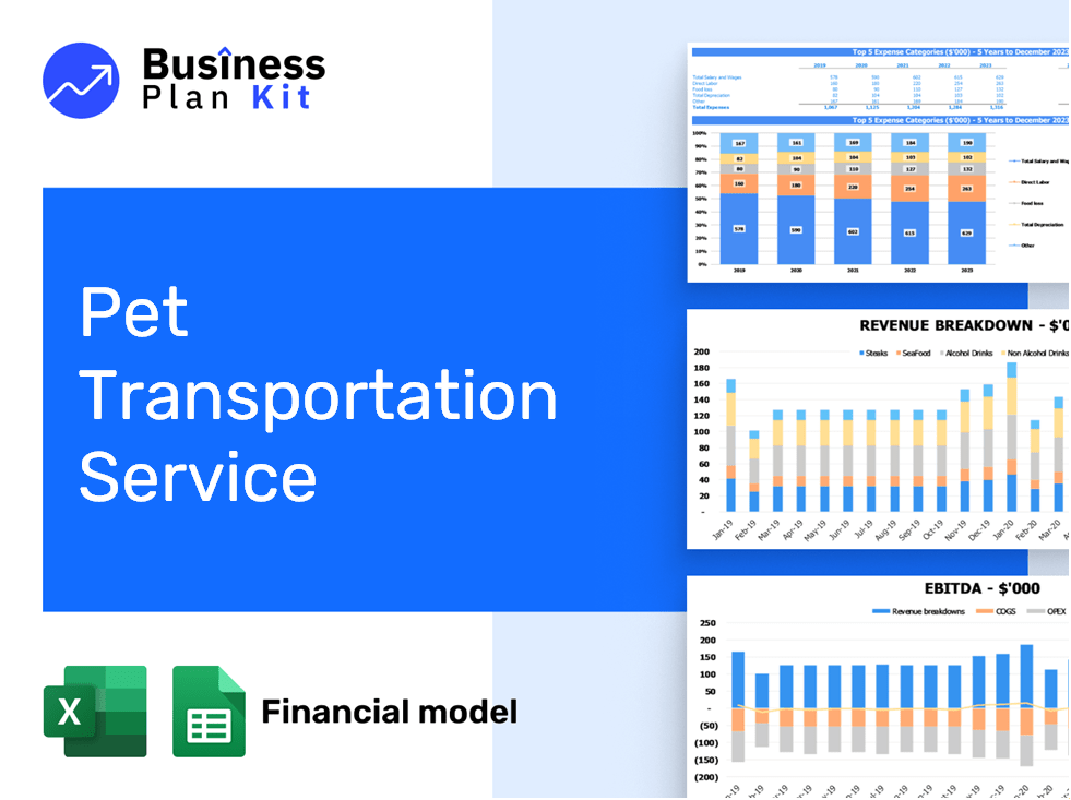 Pet Transportation Service Financial Model Example