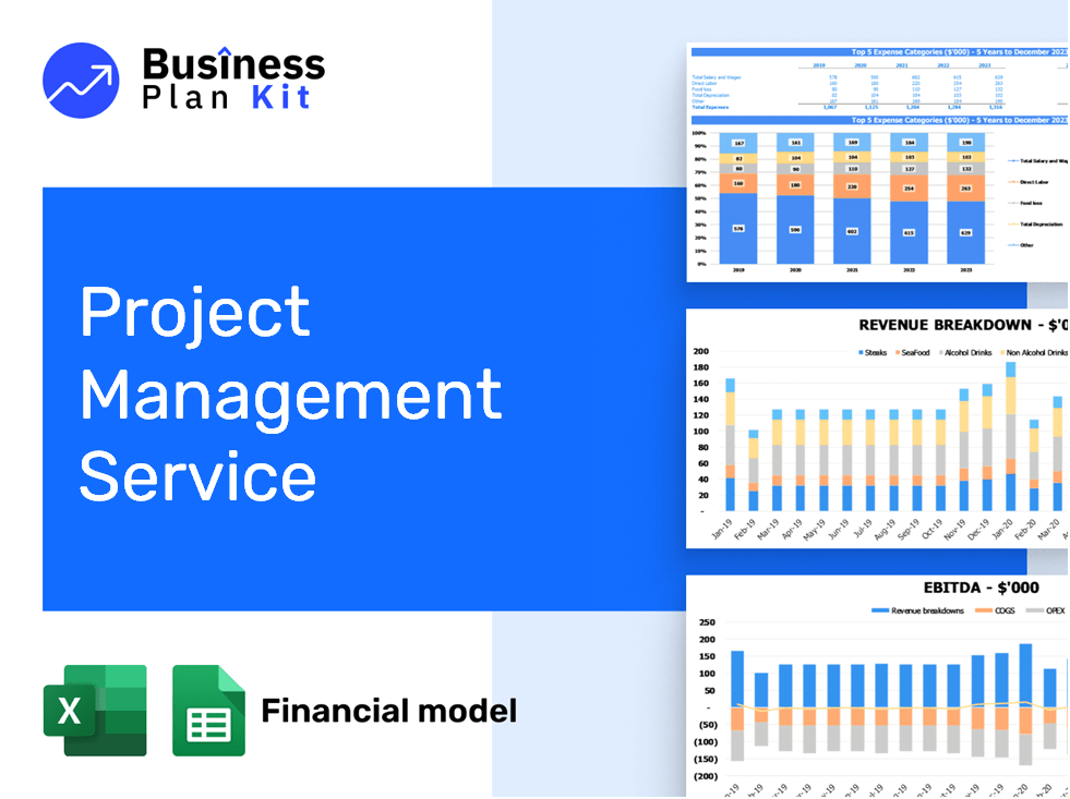 Project Management Service Financial Model Example