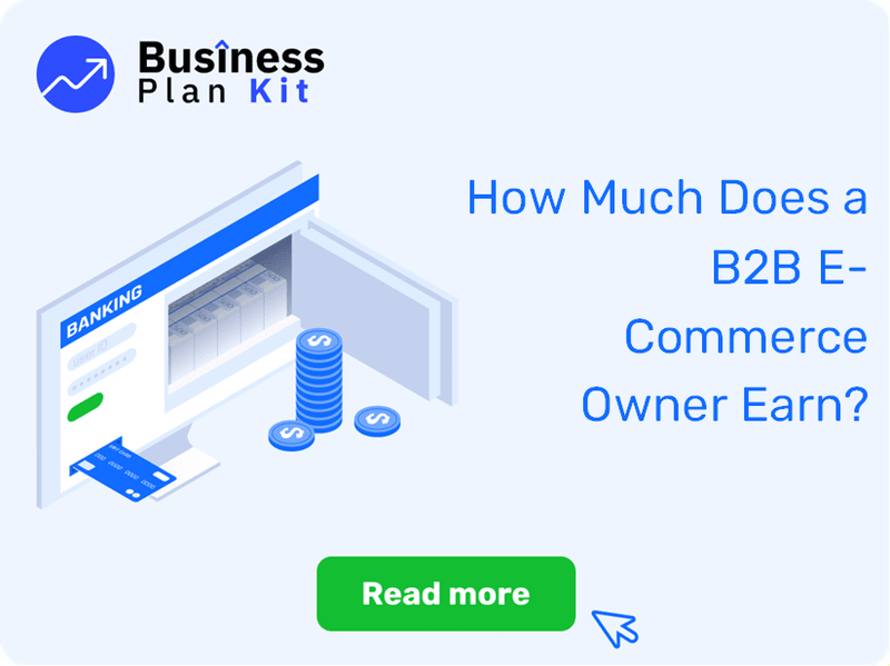 How Much Does a B2B E-Commerce Owner Earn?