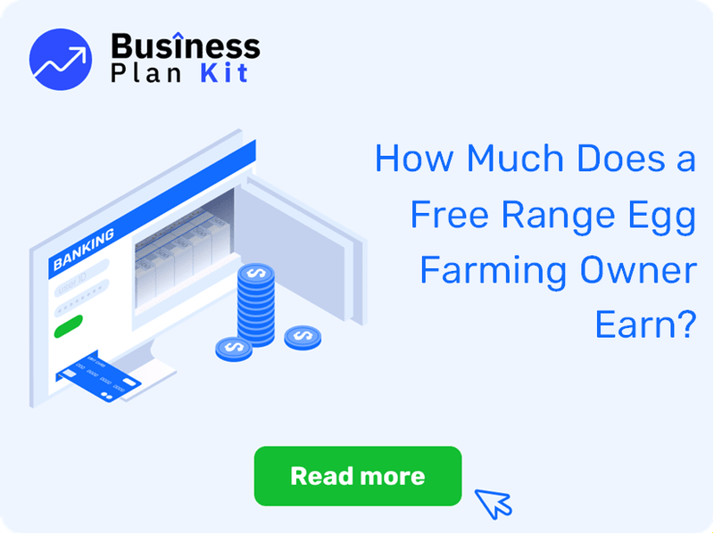 How Much Does a Free Range Egg Farming Owner Earn?