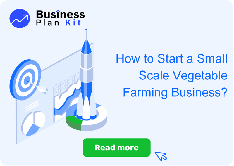 How to Start a Small Scale Vegetable Farming Business Successfully?