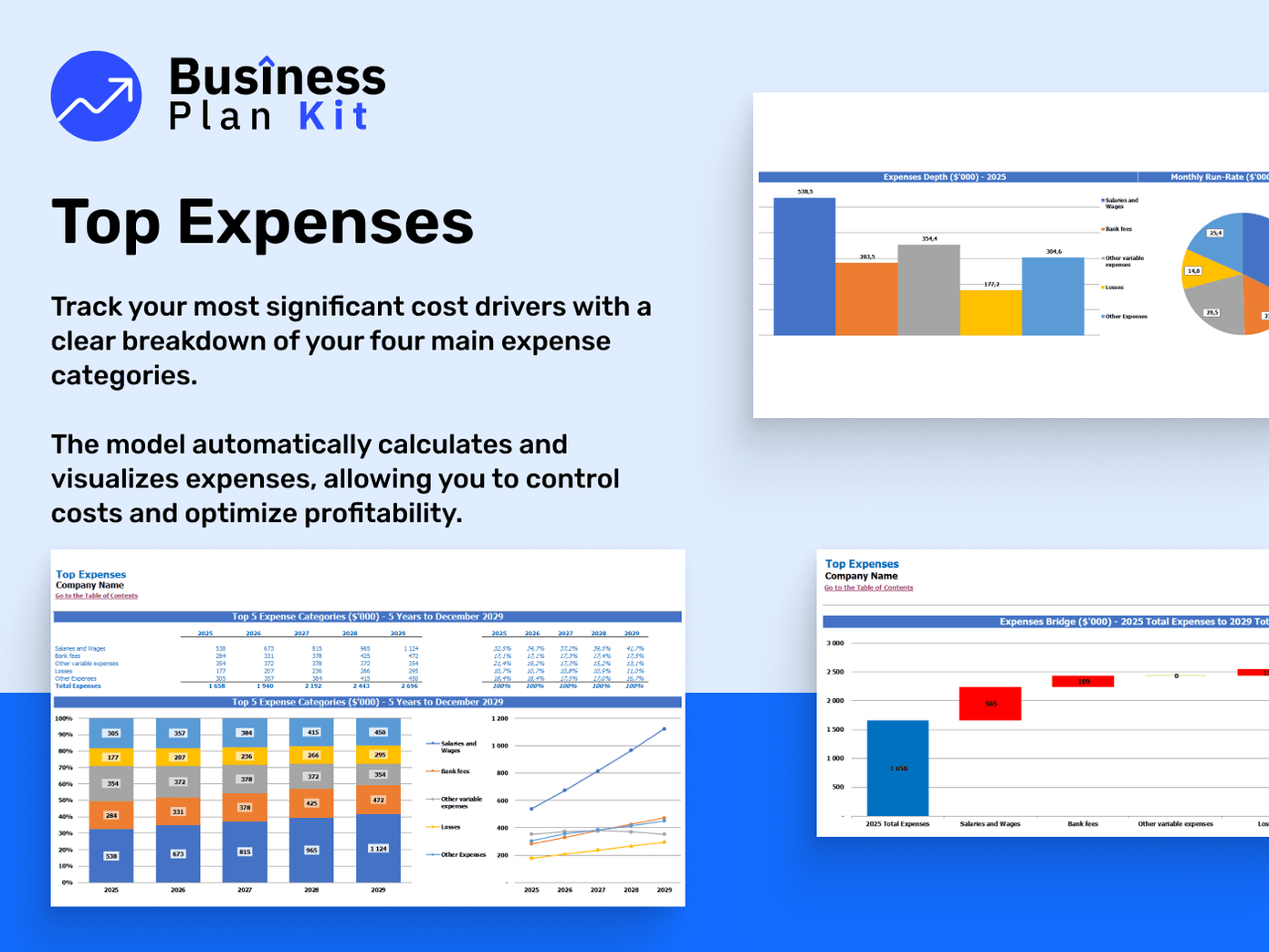 Biotech Startup Consulting Financial Model Example: Top Expenses