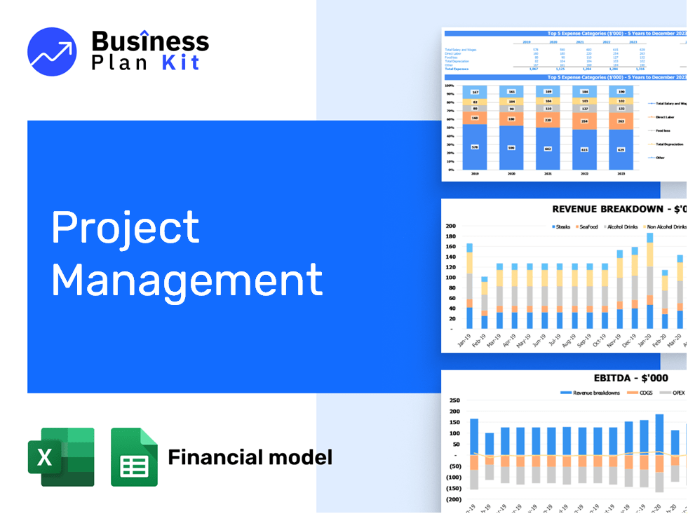 Project Management Financial Model Example